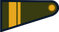 Argentina Army Sargento primero insignia