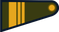 Argentina Army Sargento ayudante insignia