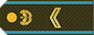 ԿՐՏՍԵՐ ՍԵՐԺԱՆՏ / Krtser Serzhant insignia