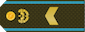 ԱՎԱԳ ՍԵՐԺԱՆՏ / Avag serzhant insignia