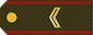 ԿՐՏՍԵՐ ՍԵՐԺԱՆՏ / Krtser Serzhant insignia