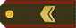 ԱՎԱԳ / Avag insignia