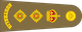 Australia Army Colonel insignia