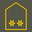 Austria Army Oberleutnant insignia