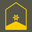 Austria Army Major insignia