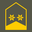 Austria Army Oberstleutnant insignia
