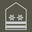Austria Army Oberstabswachtmeister insignia