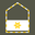 Austria Army Vizeleutnant insignia