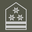 Austria Army Offiziersstellvertreter insignia