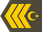 Azerbaijan Army Baş çavuş insignia