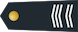 1ste sergeant-majoor / 1er sergeant-major insignia