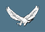 Bangladesh Air Force এয়ারক্র্যাফটম্যান-১ Ēẏārkrāphṭmaen-1 insignia