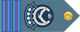Bangladesh Air Force সিনিয়র ওয়ারেন্ট অফিসার Siniẏar ōẏārēnṭ ôphisār insignia