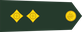 Bangladesh Army লেফটেন্যান্ট Lēphṭēnānṭ insignia