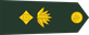 Bangladesh Army লেফটেন্যান্ট কর্নেল Lēphṭēnānṭ karnēl insignia