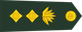 Bangladesh Army কর্নেল Karnēl insignia