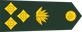 Bangladesh Army ব্রিগেডিয়ার জেনারেল Brigēḍiẏār jēnārēl insignia