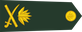 Bangladesh Army মেজর জেনারেল Mējar jēnārēl insignia