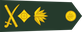 Bangladesh Army লেফটেন্যান্ট জেনারেল Lēphṭēnānṭ jēnārēl insignia