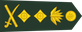 Bangladesh Army জেনারেল Jēnārēl insignia