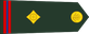 Bangladesh Army ওয়ারেন্ট অফিসার Ōẏārēnṭ ôphisār insignia