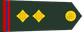 Bangladesh Army সিনিয়র ওয়ারেন্ট অফিসার Siniẏar ōẏārēnṭ ôphisār insignia
