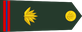Bangladesh Army মাস্টার ওয়ারেন্ট অফিসার Māsṭār ōẏārēnṭ ôphisār insignia