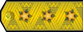 Insignia de Вицеадмирал Vitseadmiral