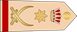 Bahrain Army فريق Fariq insignia