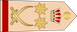 Bahrain Army فريق أول‎‎ Fariq 'awal insignia