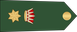 Bahrain National Guard مقدم Muqaddam insignia