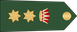 Bahrain National Guard عقيد Aqid insignia