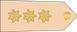 Bahrain Royal Guard نقيب Naqib insignia