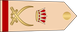 Bahrain Royal Guard لواء Liwa insignia