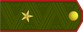 Belarus Army Палкоўнік Palkoŭnik insignia