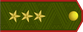 Belarus Army Ґенэрал-лейтэнант Gjeneral-liejtenant insignia