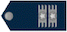 Insignia de Coronel