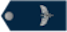 Insignia de Cadete