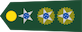 Insignia de Tenente-coronel