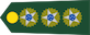 Insignia de Coronel