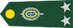 Insignia de General de brigada