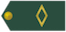 Insignia de Subtenente