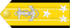 Insignia de Vice-almirante fuzileiro naval