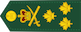 Lieutenant-general / Lieutenant-général insignia