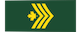 Sergeant / Sergent insignia