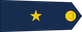 Colombia Air Force Subteniente insignia