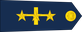 Colombia Air Force Coronel insignia