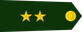 Colombia Army Teniente insignia