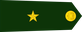 Colombia Army Subteniente insignia