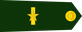 Colombia Army Mayor insignia